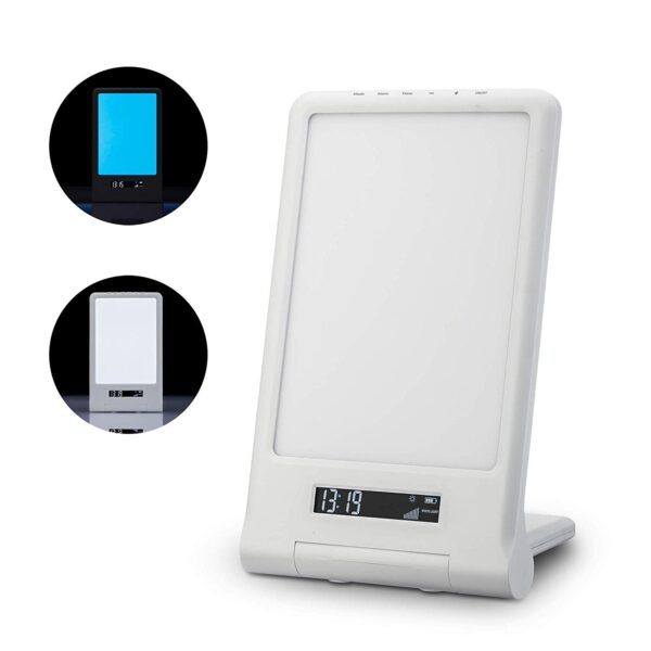 Day light SE-100P with recharegeable battery