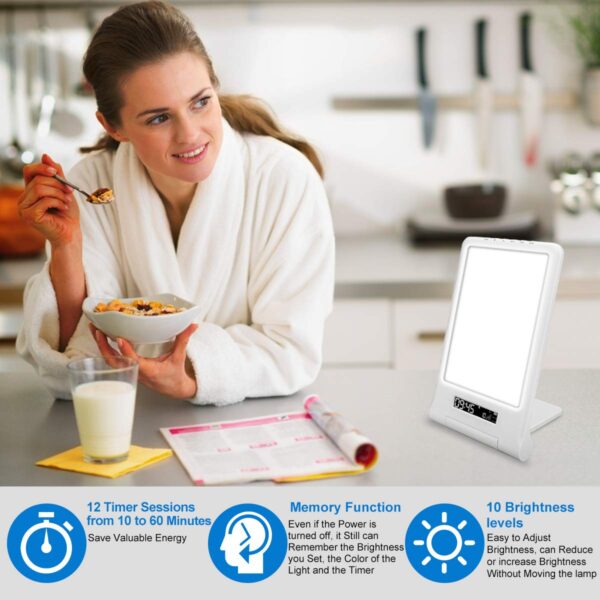 Day light SE-100P with recharegeable battery - Image 6