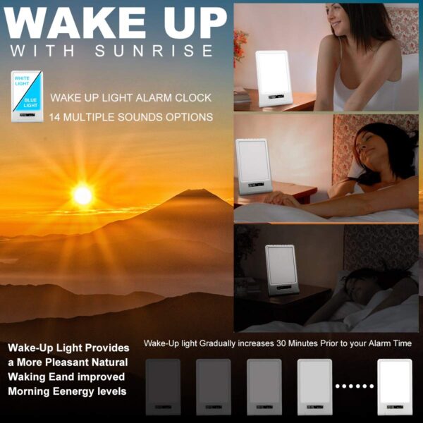 Day light SE-100P with recharegeable battery - Image 4